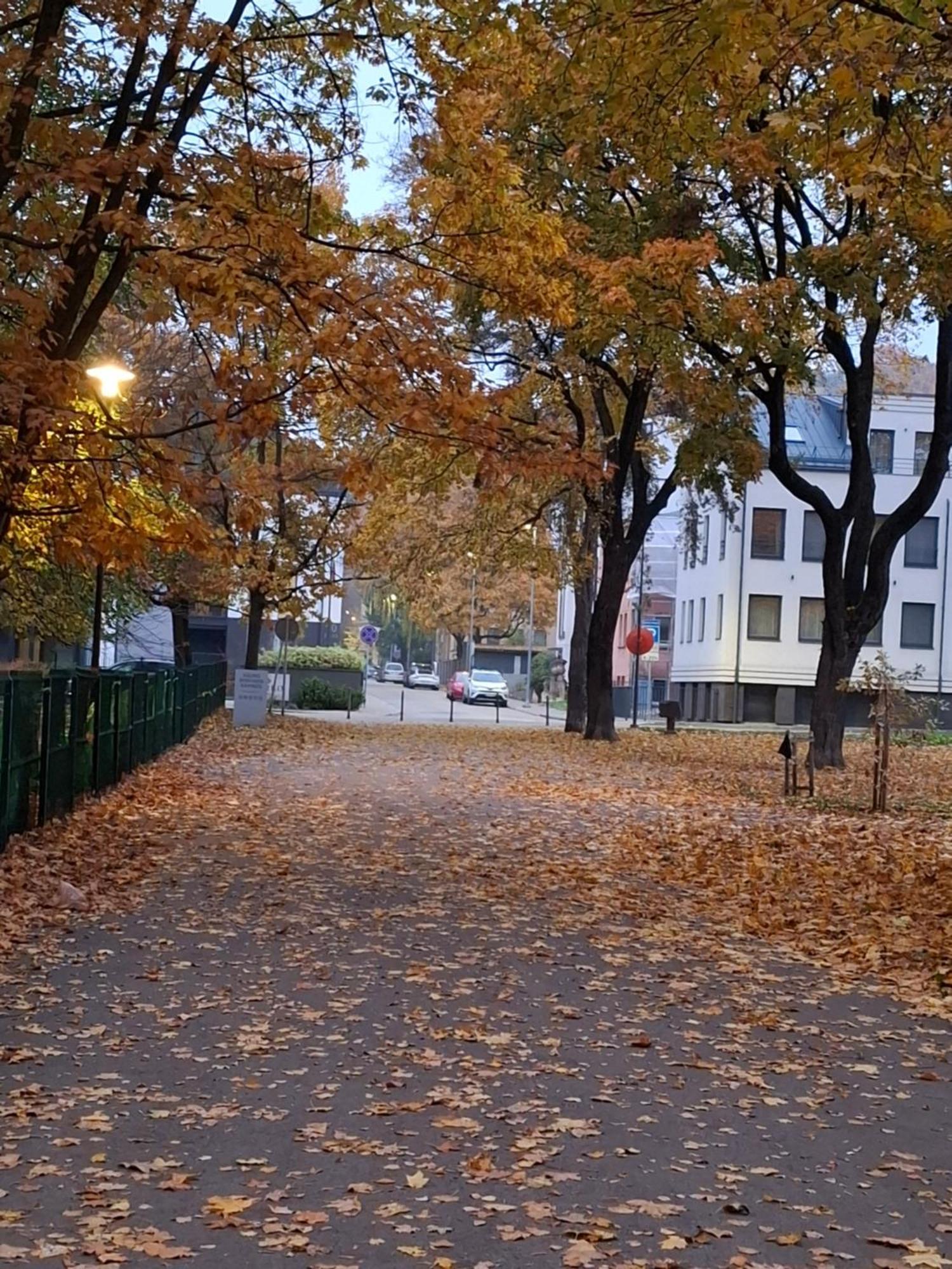 Maple Park Apartment Kaunas Ngoại thất bức ảnh